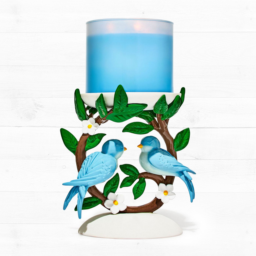 מעמדים לנרות