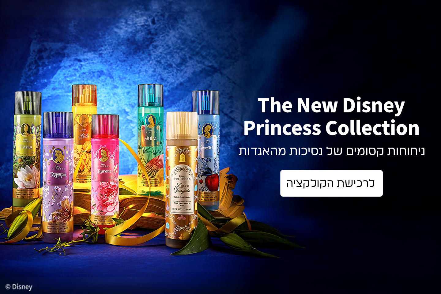 קולקציה קסומה של נסיכות מהאגדות