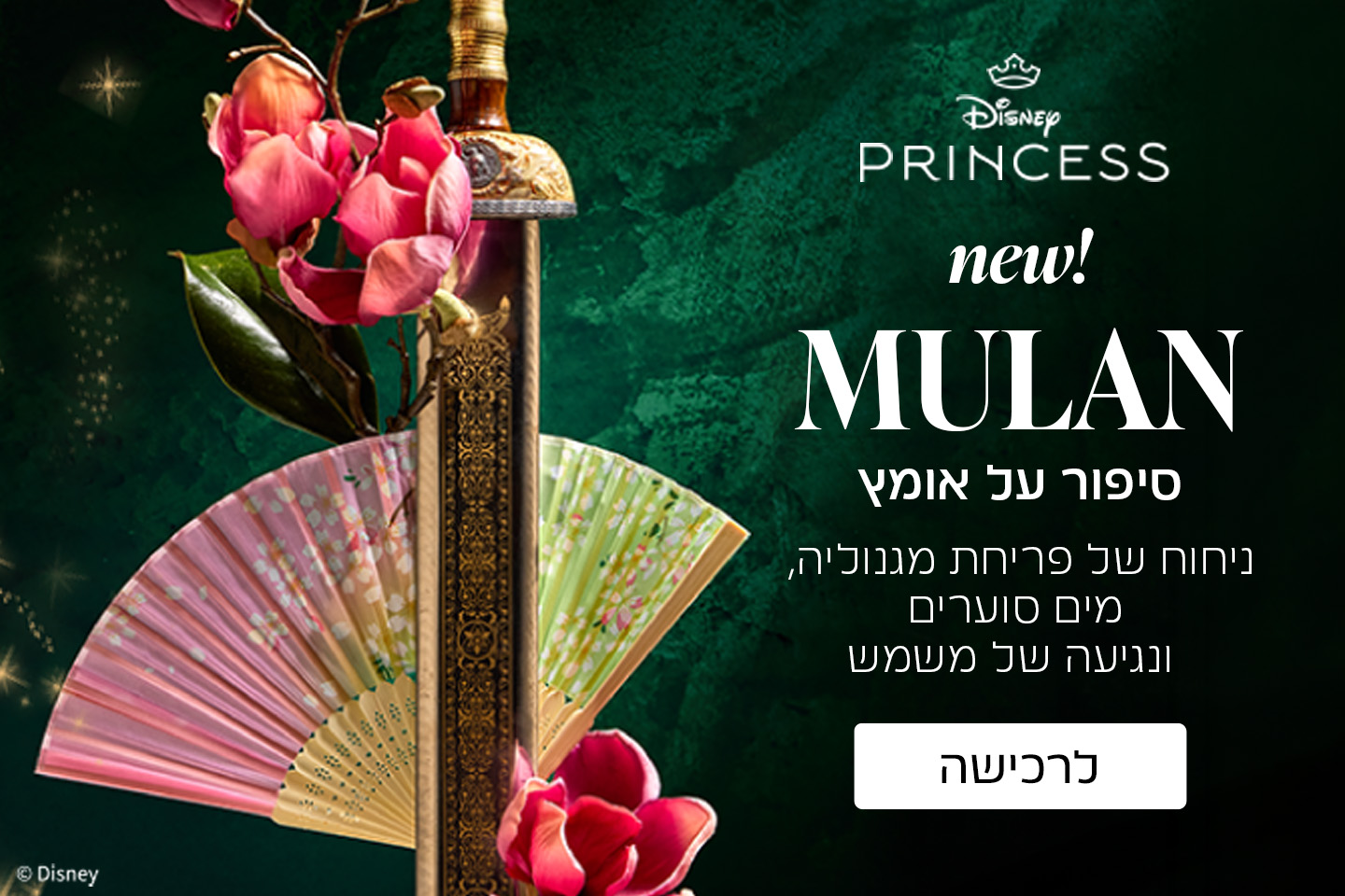 ניחוחות חדשים בעיצובים נקיים ומראה מודרני