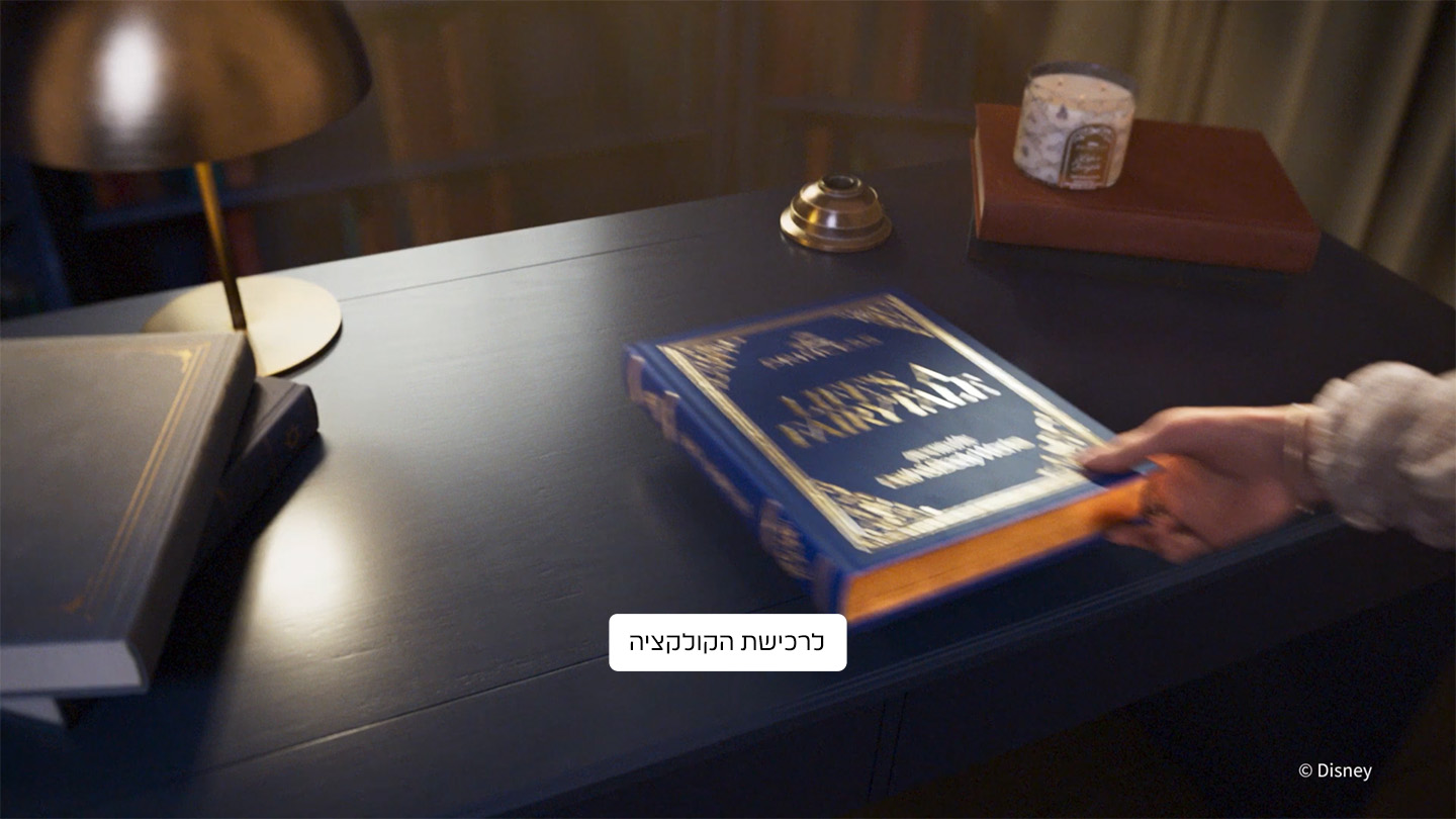 קולקציית הנסיכות של דיסני