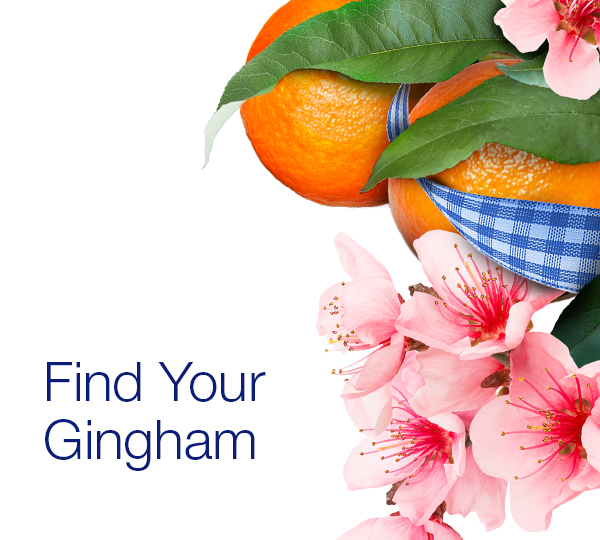 GINGHAM