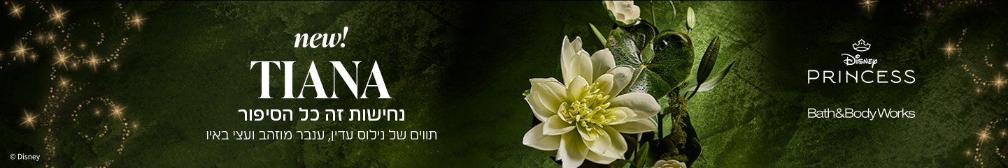 טיאנה נחישות זה כל הסיפור