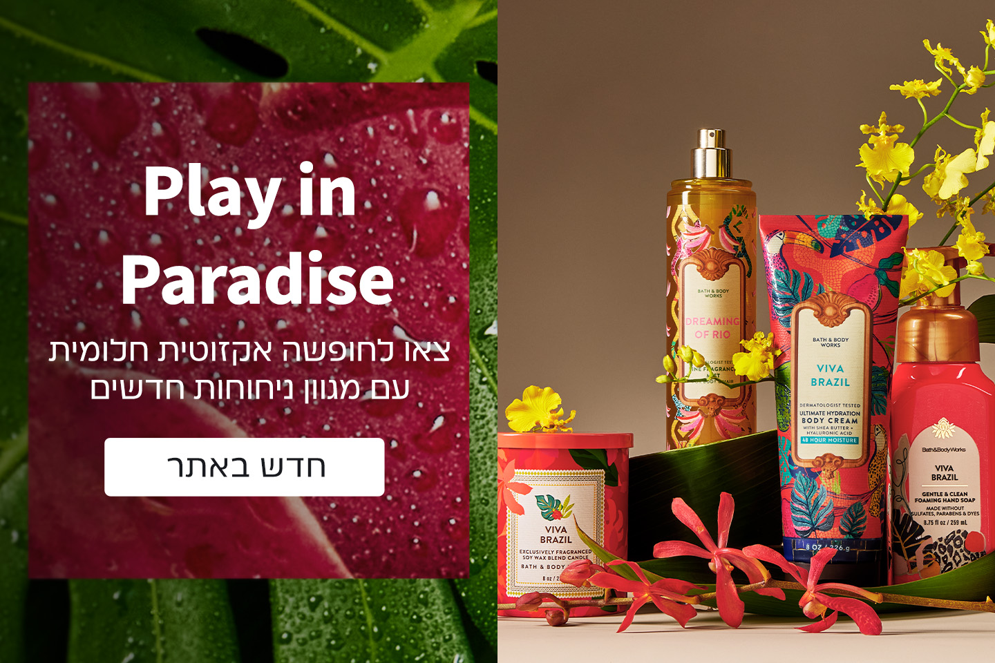 ניחוחות חדשים אקזוטיים