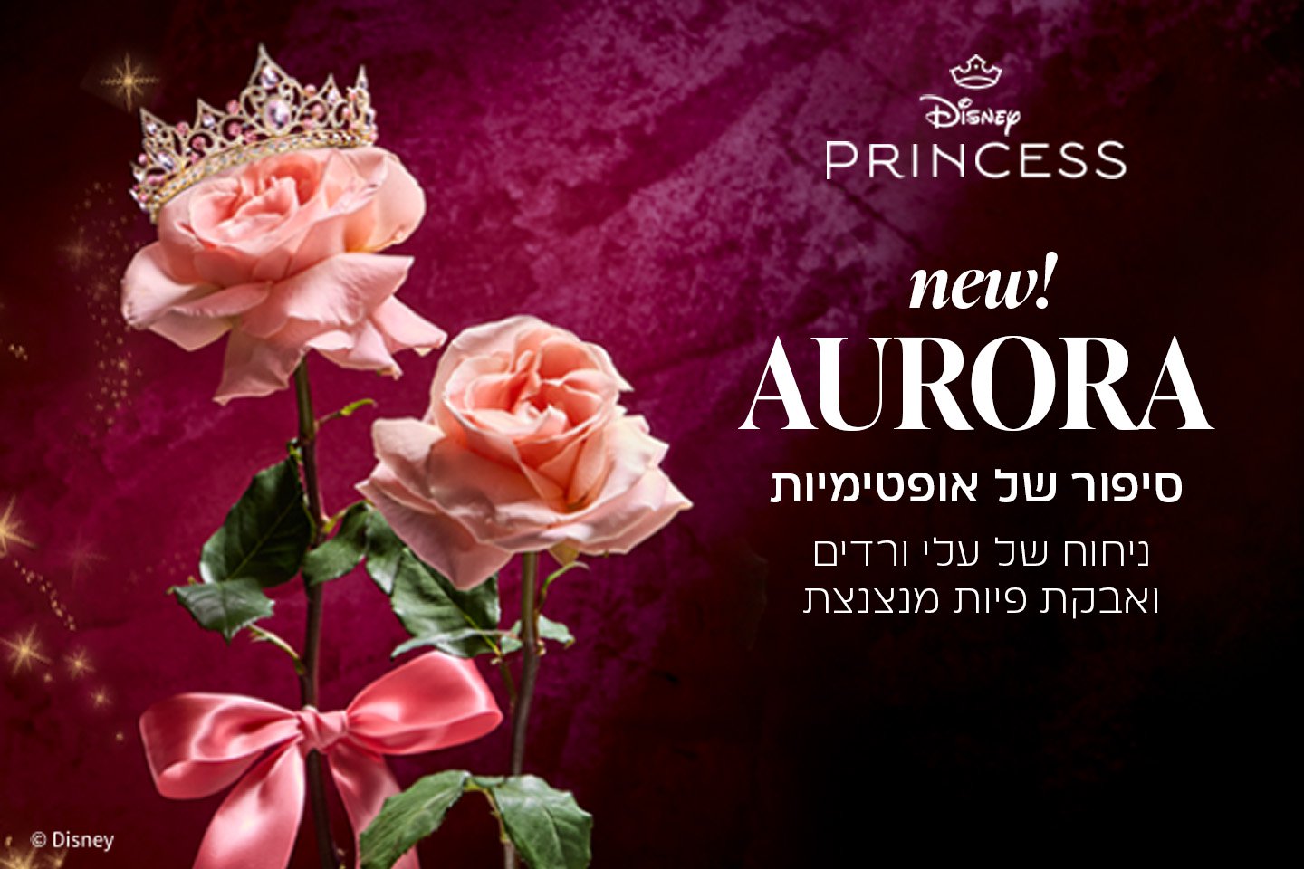 אורורה סיפור של אופטימיות