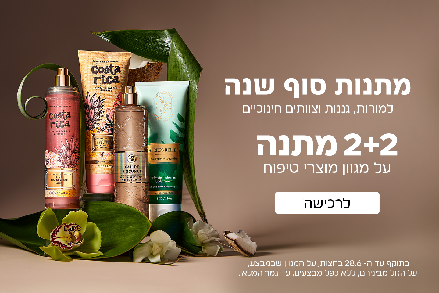 2+2 מתנה על כל הטיפוח