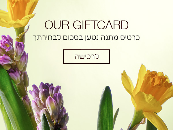 celebrate anything & everything גיפטכראד נטען בסכום לבחירתך