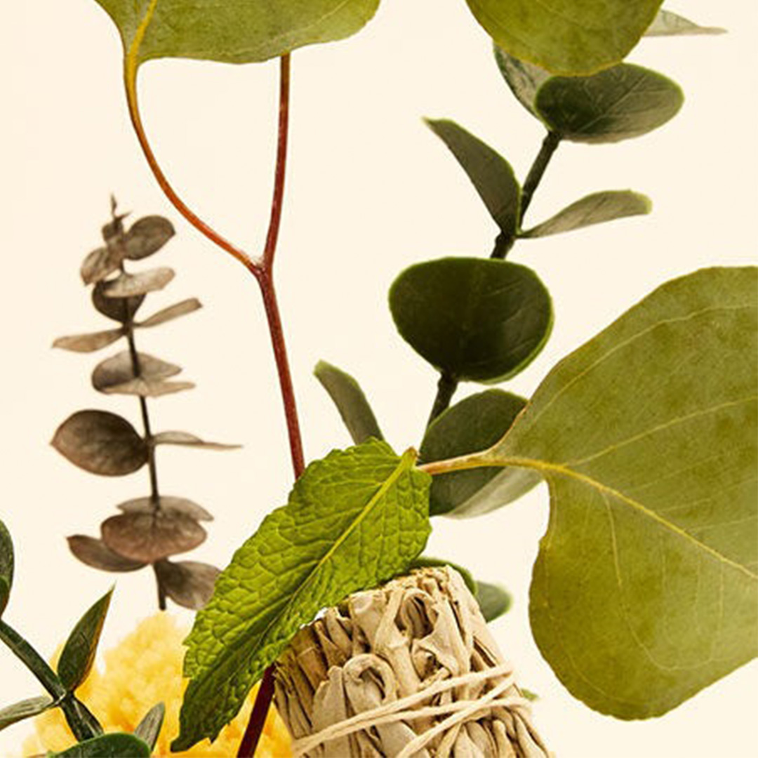 Eucalyptus Spearmint