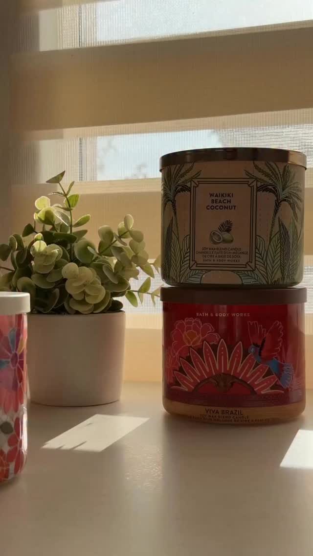 חופשת קיץ חלומית מתחילה בניחוחות טרופיים חדשים 🌴

הכירו את הנרות שממלאים את הבית באווירת חופש מרעננת וממכרת.