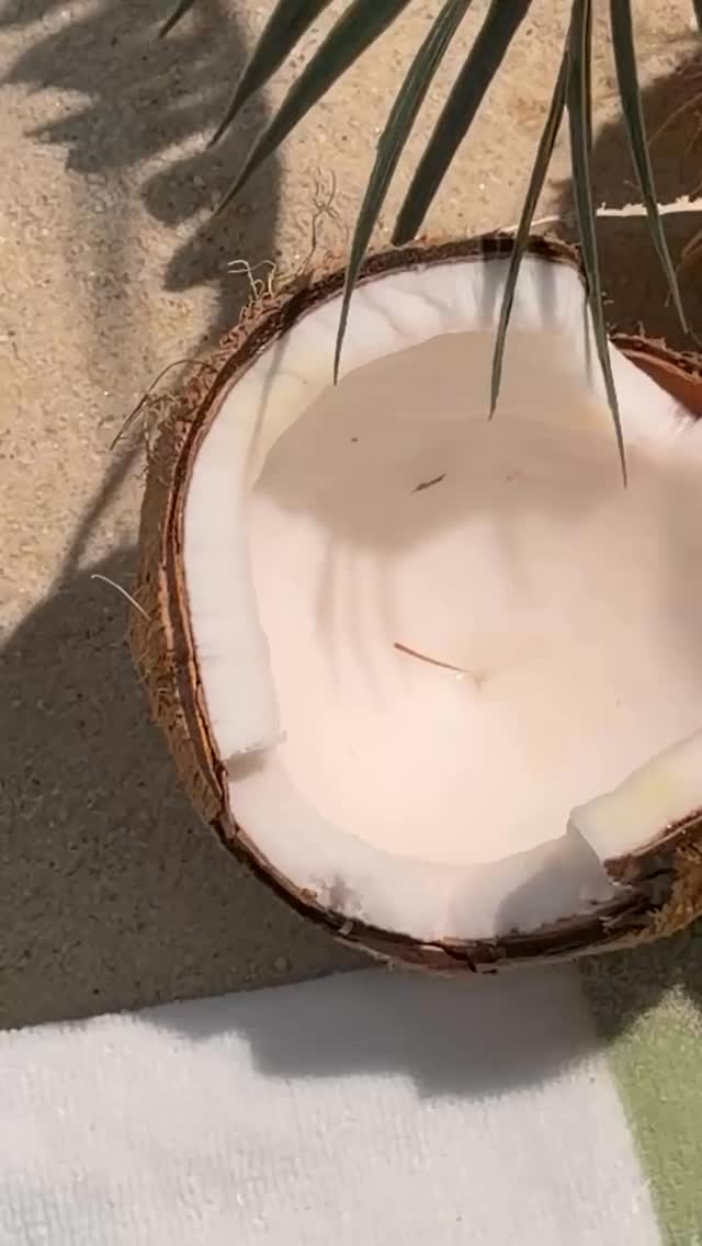 אם היה אפשר לארוז רוח עדינה מחוף הים וקוקוס טרופי לתוך בקבוק - ככה בדיוק זה היה מריח ✨
הקולקציה החדשה שלנו כאן כדי להביא את אווירת החופשה הכי חלומית ישירות אליכם, בכל רגע ביום. 
חפשו אותה בחנויות ובאתר.
